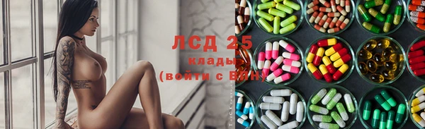 хмурый Арсеньев