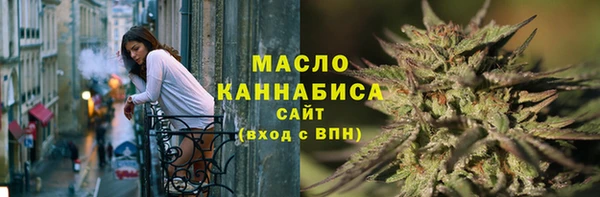 хмурый Арсеньев