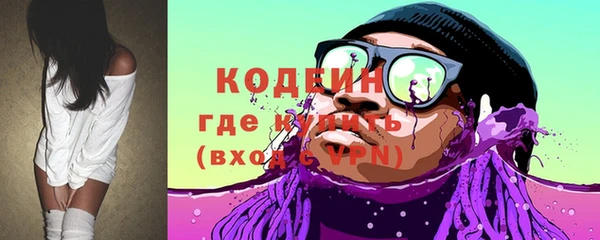 хмурый Арсеньев