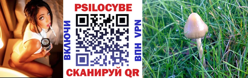наркотики Новоржев Псилоцибиновые грибы мухоморы